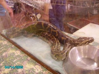 PICT0036.jpg