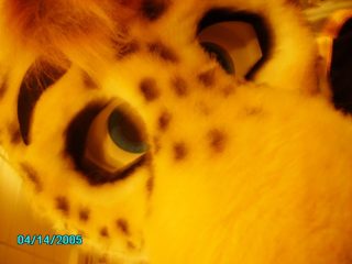 PICT0040.jpg