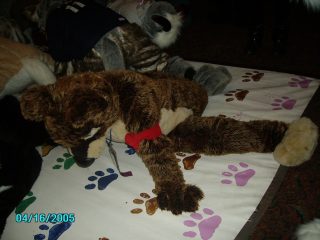 PICT0107.jpg