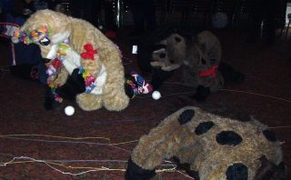 PICT0177.jpg