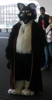 SANY0500.jpg