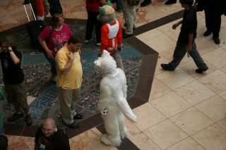 IMG_6911.jpg