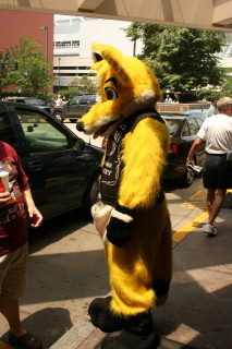 IMG_6939.jpg
