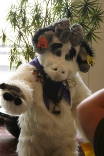 IMG_6952.jpg