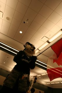 IMG_7832.jpg