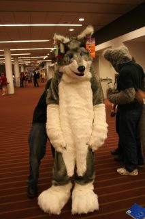 IMG_8003.jpg