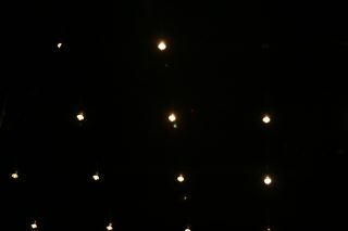 IMG_8013.jpg