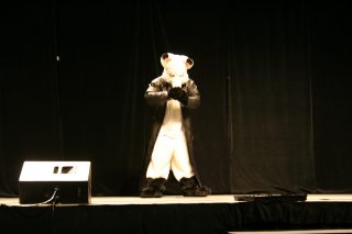 IMG_8164.jpg