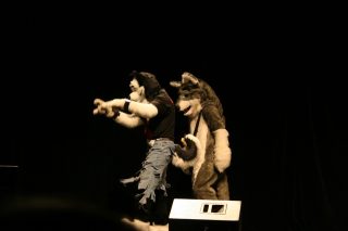 IMG_8222.jpg