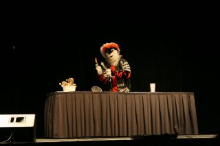IMG_8230.jpg
