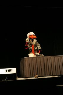 IMG_8237.jpg