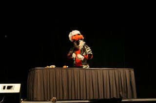 IMG_8242.jpg