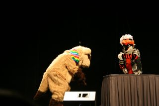 IMG_8268.jpg