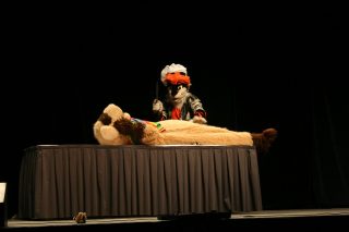 IMG_8283.jpg