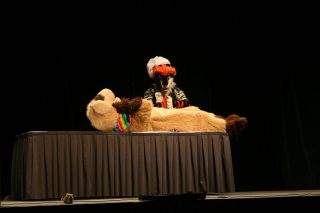 IMG_8284.jpg