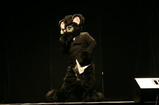 IMG_8337.jpg