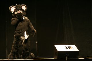 IMG_8345.jpg
