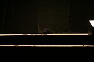 IMG_8354.jpg