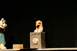 IMG_8467.jpg