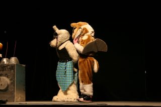 IMG_8482.jpg