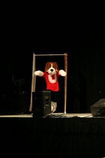 IMG_8493.jpg