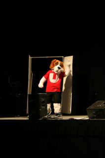 IMG_8498.jpg