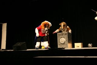 IMG_8513.jpg