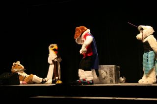 IMG_8535.jpg