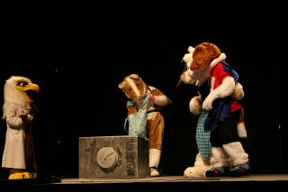 IMG_8562.jpg