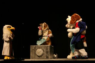 IMG_8564.jpg