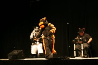 IMG_8584.jpg