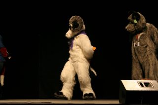 IMG_8746.jpg