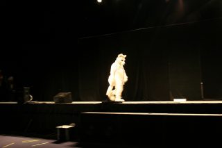 IMG_8929.jpg