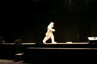 IMG_8930.jpg