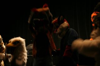 IMG_9260.jpg
