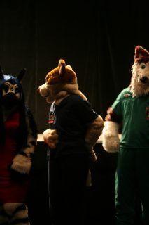IMG_9285.jpg