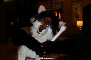 IMG_0266.jpg
