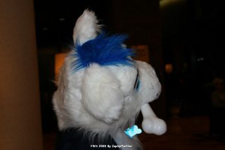 IMG_0271.jpg