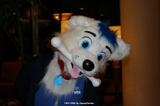 IMG_0272.jpg