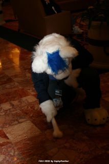 IMG_0288.jpg