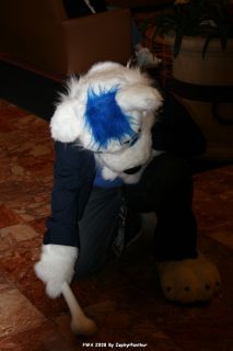 IMG_0290.jpg