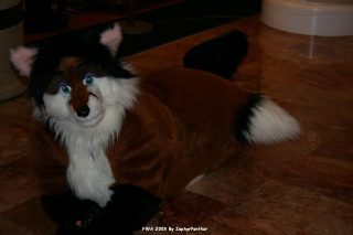 IMG_0291.jpg
