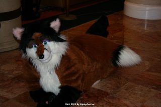 IMG_0292.jpg