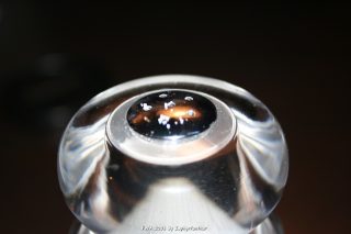 IMG_0302.jpg