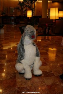 IMG_0328.jpg