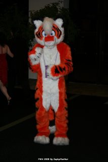 IMG_0360.jpg