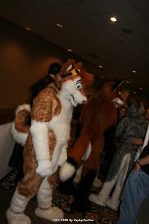IMG_0386.jpg