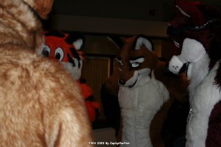 IMG_0414.jpg