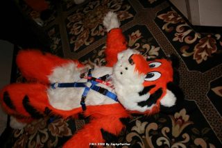 IMG_0423.jpg