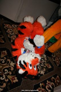 IMG_0427.jpg